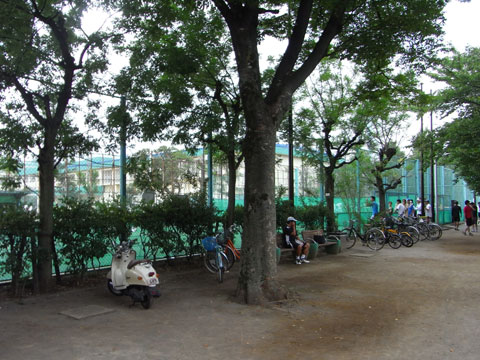 20100920_17.jpg