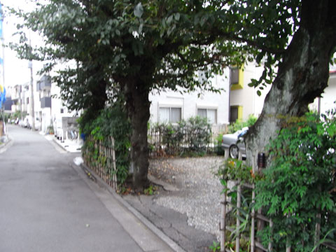20100924_04.jpg