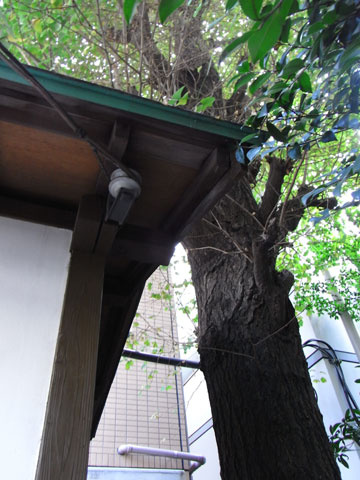 20101003_10.jpg