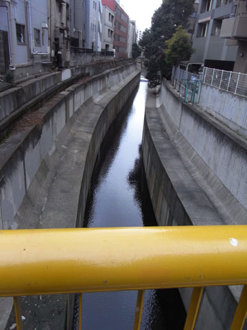20110130_26.jpg