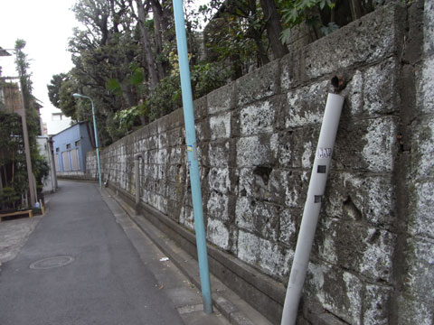 20110130_31.jpg