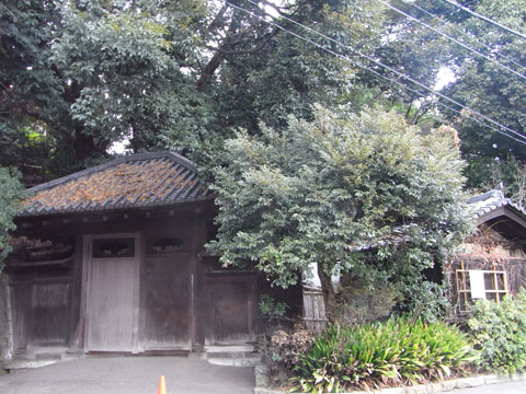 20110130_34.jpg