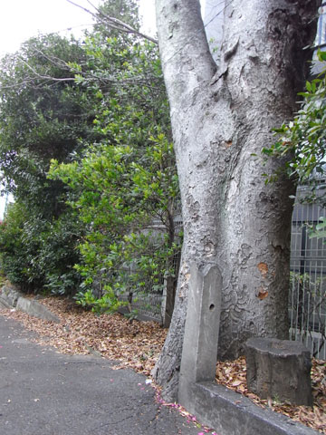 20110130_36.jpg