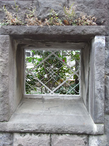 20110130_39.jpg