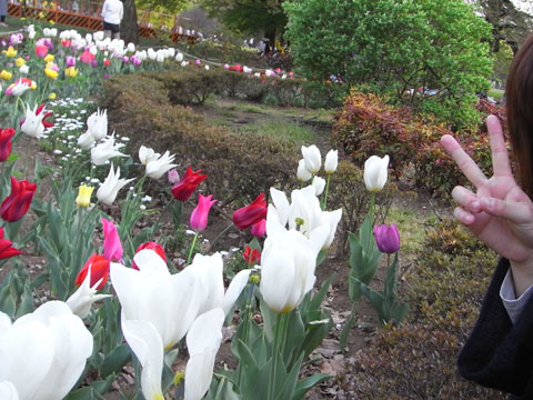 20110416_3.jpg
