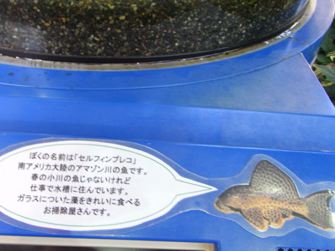 20111016_09.jpg