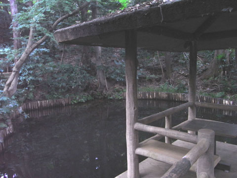 20111030_08.jpg