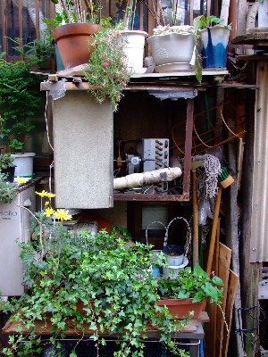 yodobashi0015.jpg